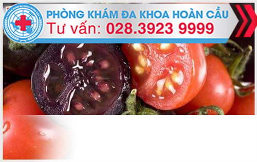Cà chua đen có chứa nhiều chất tốt cho sức khỏe con người